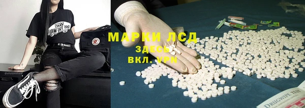 СК Абинск