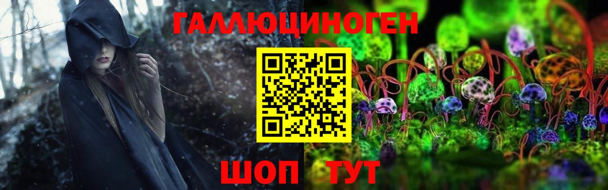 Псилоцибиновые грибы Psilocybine cubensis  Вход с VPN  цена   Псилоцибиновые грибы мицелий  Сочи 
